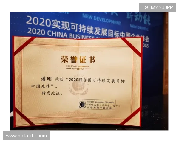 尊龙集团的可持续发展路径与社会责任实践