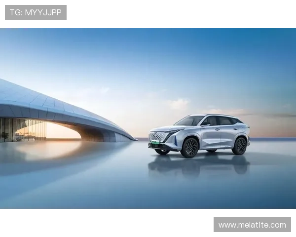 Z6就是博：Z6在未来发展中的潜力与行业影响力展望