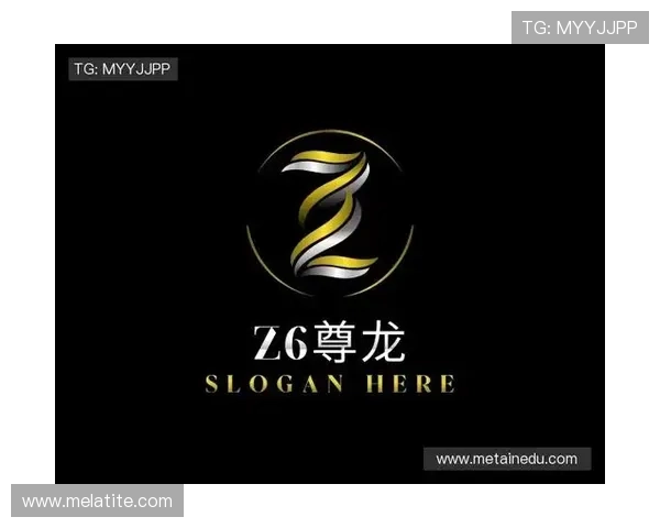 z6尊龙旗舰厅中国官方平台详细介绍，帮助玩家了解游戏规则、充值流程及客户支持服务指南